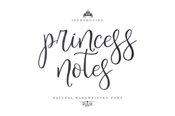 Princess Notes: A Designer's Honest Review for Real Projects